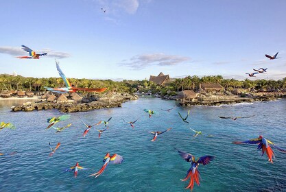 Xcaret Park Day Tour & Night Show with Transport