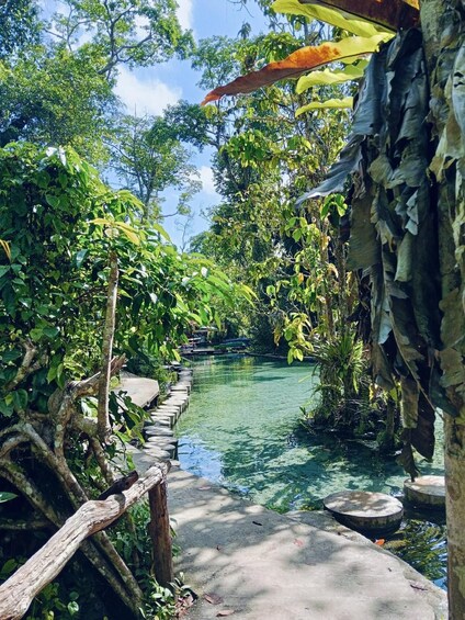 Picture 12 for Activity Khao Sok Lake Day Trip with Emerald Pool