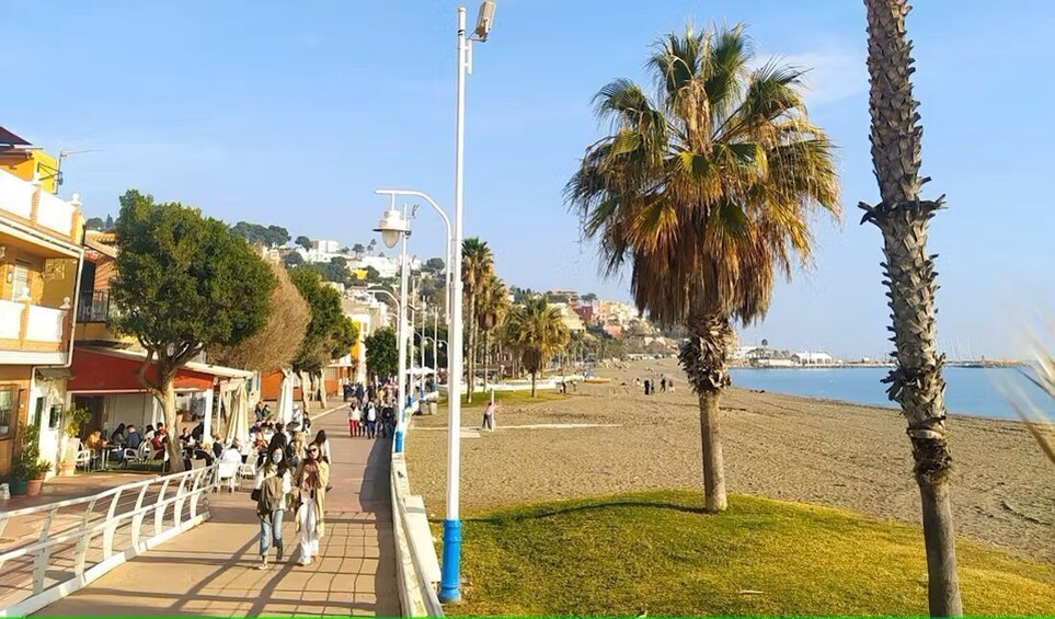 Guided tour of Malaga fishing scene with cooking workshop