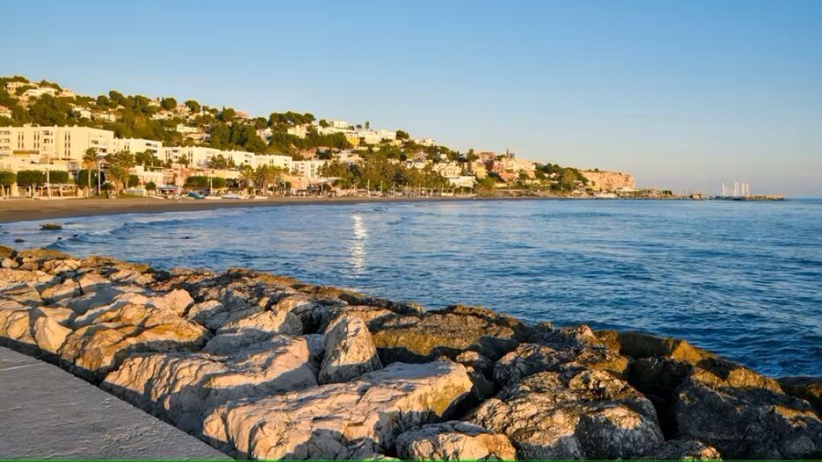 Guided tour of Malaga fishing scene with cooking workshop