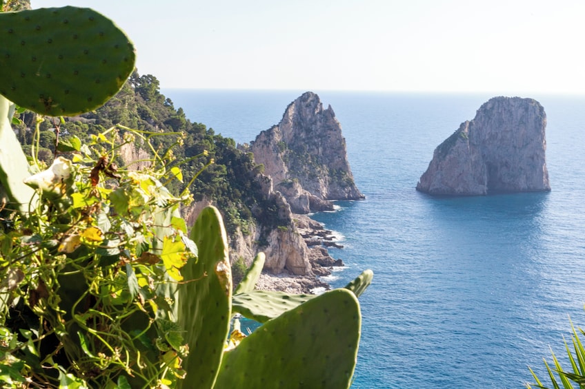 Naples: Capri & Positano Boat Tour Escape