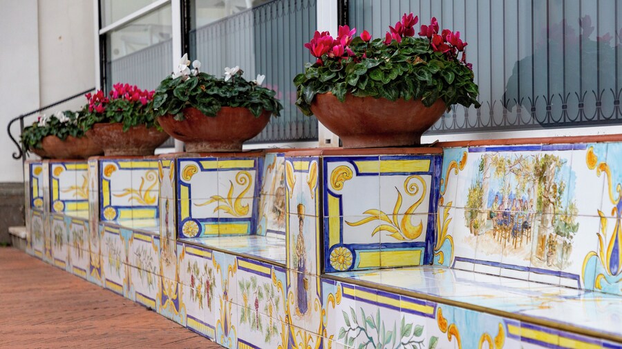 Naples: Capri & Positano Boat Tour Escape