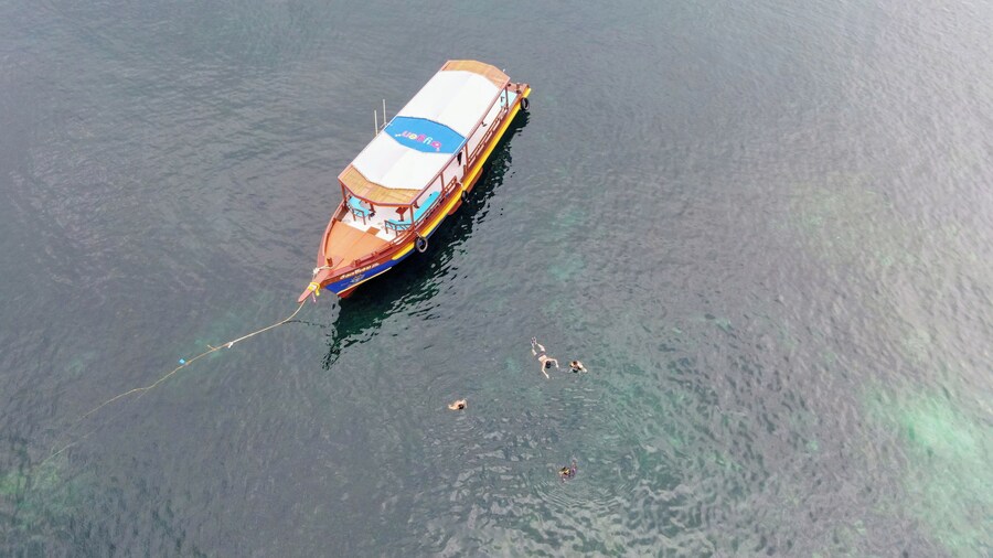 Koh Tao's First Light Snorkel Adevnture with Oxygen Tours