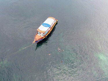 Koh Tao's First Light Snorkel Adevnture with Oxygen Tours