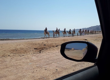 From Sharm El Sheikh: Full Day In Dahab with Snorkeling