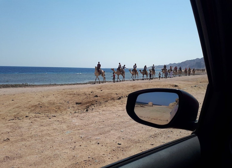 From Sharm El Sheikh: Full Day In Dahab with Snorkeling