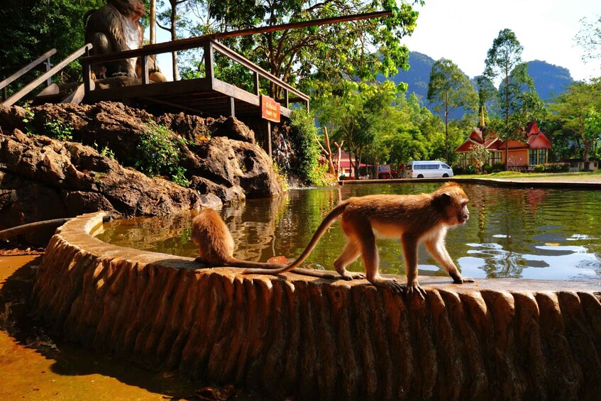 Picture 8 for Activity Khao Sok - Culture & Nature, Day Trip