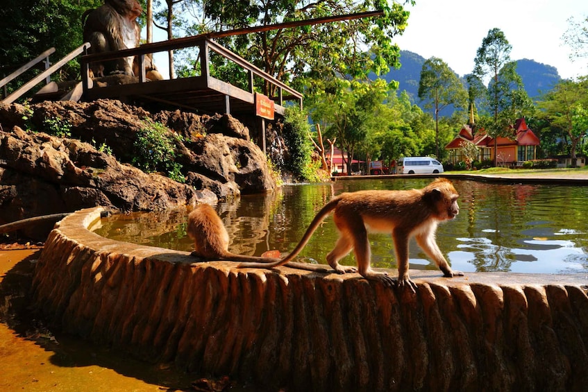 Picture 8 for Activity Khao Sok - Culture & Nature, Day Trip