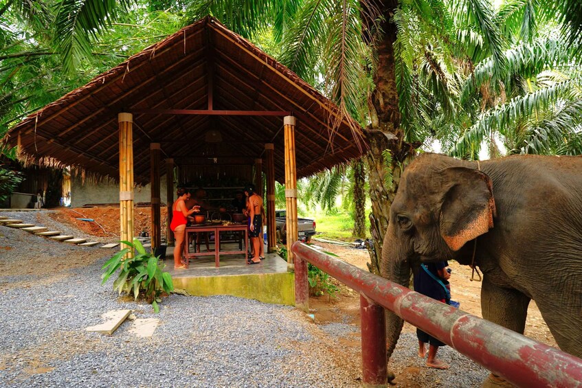 Picture 7 for Activity Khao Sok - Culture & Nature, Day Trip