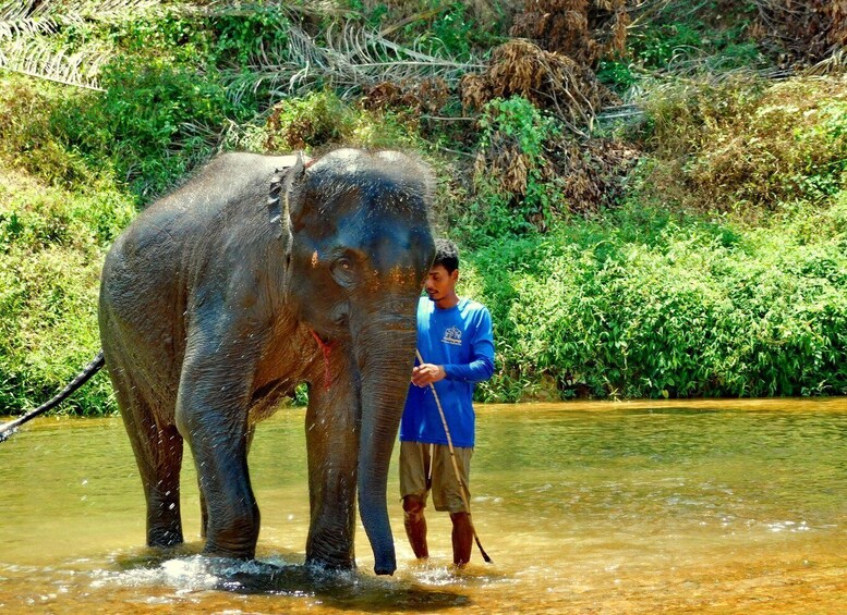 Picture 17 for Activity Khao Sok - Culture & Nature, Day Trip