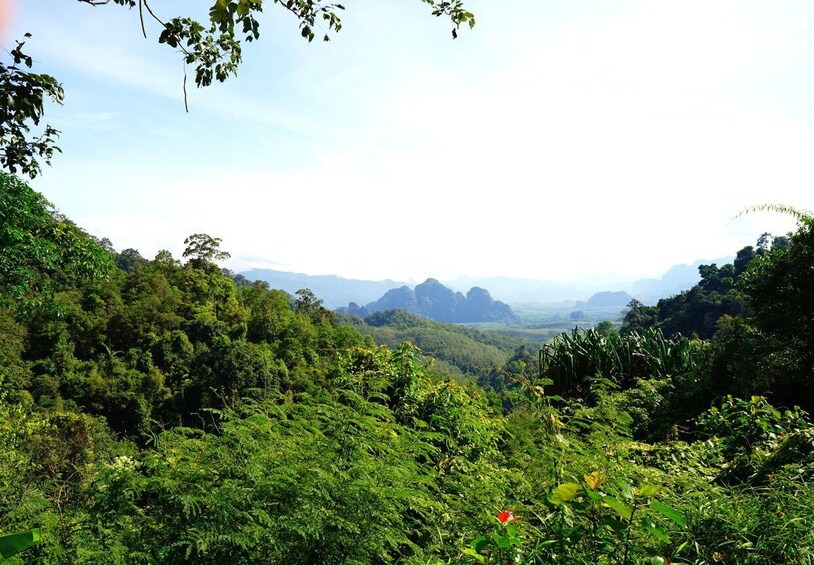 Picture 7 for Activity Khao Sok - Culture & Nature, Day Trip