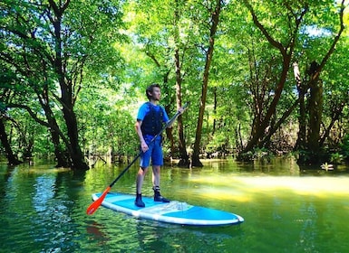 Ishigaki Island: SUP or Canoeing and Snorkeling at Blue Cave