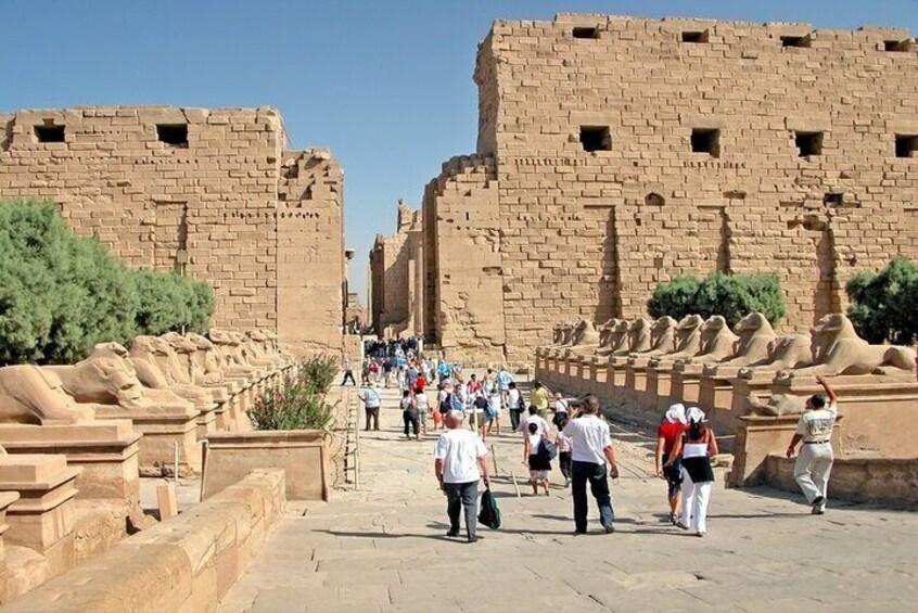 Overnight Tour from Marsa Alam to Luxor by Car