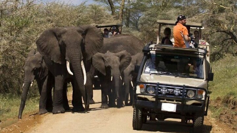 2 Days Amboseli National Park Safari Daily Departures
