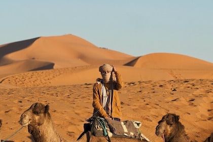 3 Days and 2 Nights from Marrakech to Merzouga’s Golden Sands