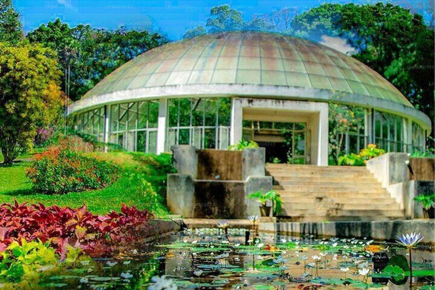 Royal Botanic Garden