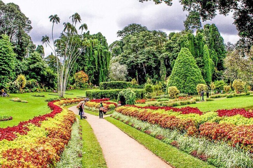 Royal Botanic Garden