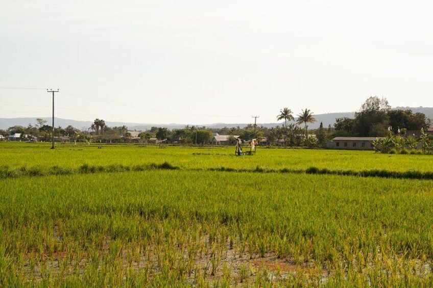 4 Days Cultural Tour to Mto wa Mbu Lake Eyasi & Lake Natron