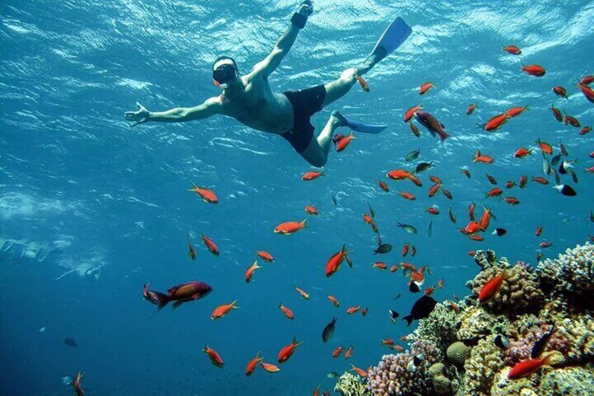 Semi submarine, ATV Safari, Camel Ride & Parasailing - Hurghada