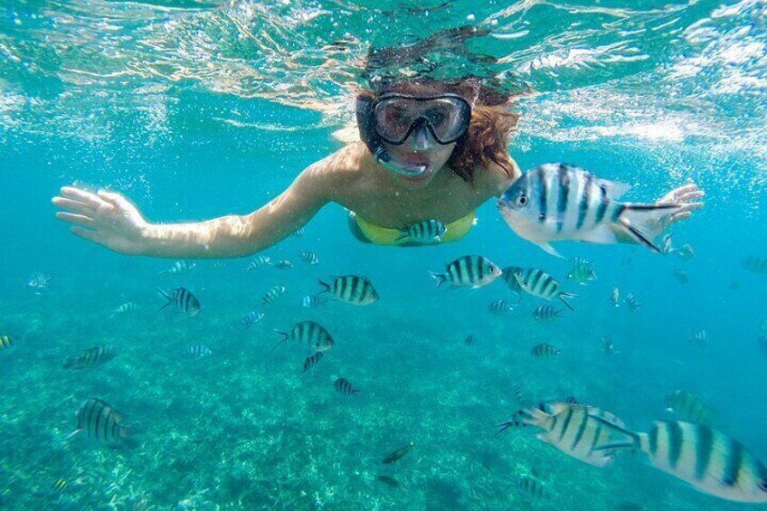 Semi submarine, ATV Safari, Camel Ride & Parasailing - Hurghada