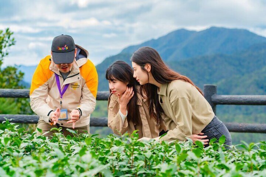 Shiding Old Street Luxury Tour Experience