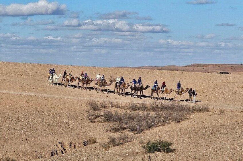 Agafay Desert Sunset and Dinner Show Quad Bike Camels