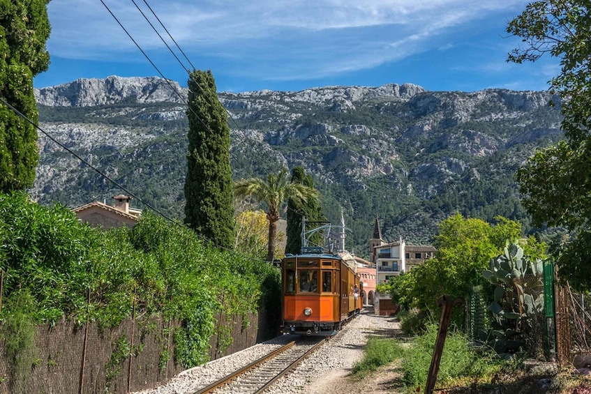 Picture 1 for Activity Mallorca: Island Tour w/ Boat & Train Ride from North & East
