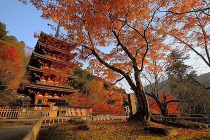 Kamakura and Enoshima Day Tour from Shinjuku