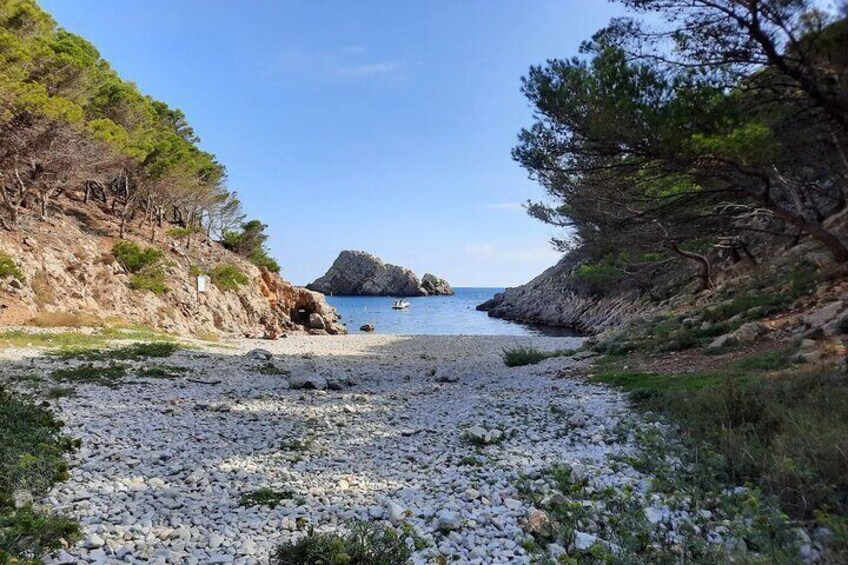 Boat Tour Around the Medes Islands and the Foradada Rock