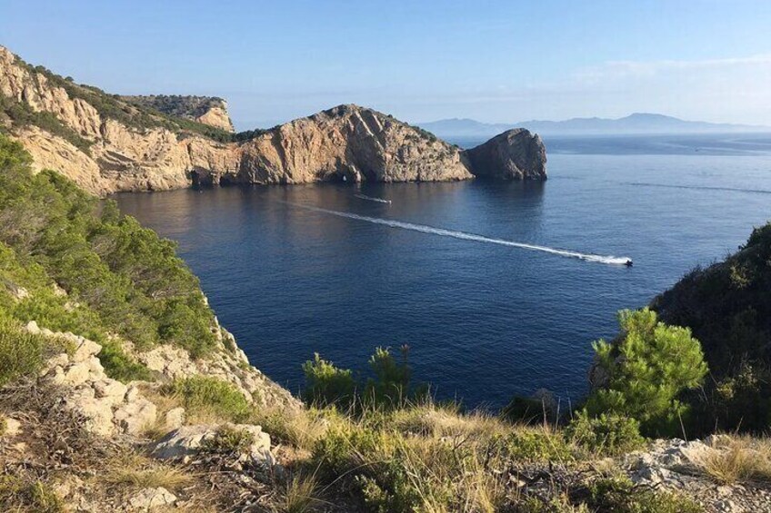 Boat Tour Around the Medes Islands and the Foradada Rock