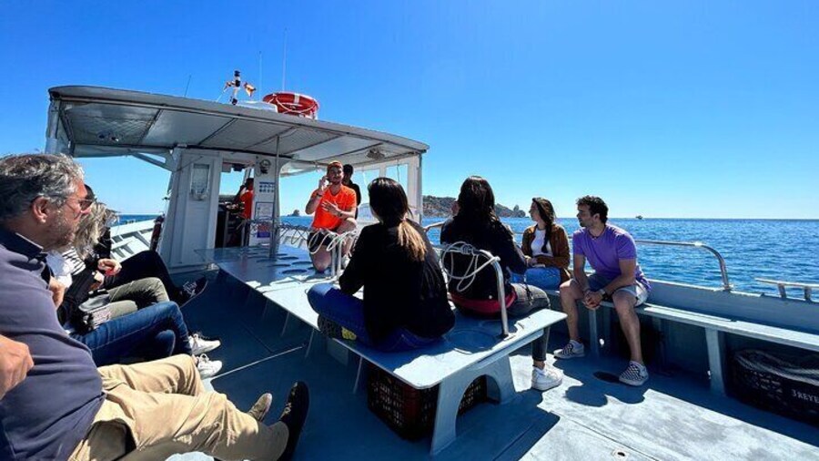 Boat Tour Around the Medes Islands and the Foradada Rock