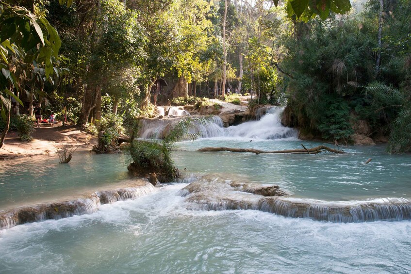 Picture 13 for Activity Luang Prabang: Cruise to Pak Ou Caves & Kuang Si Waterfalls