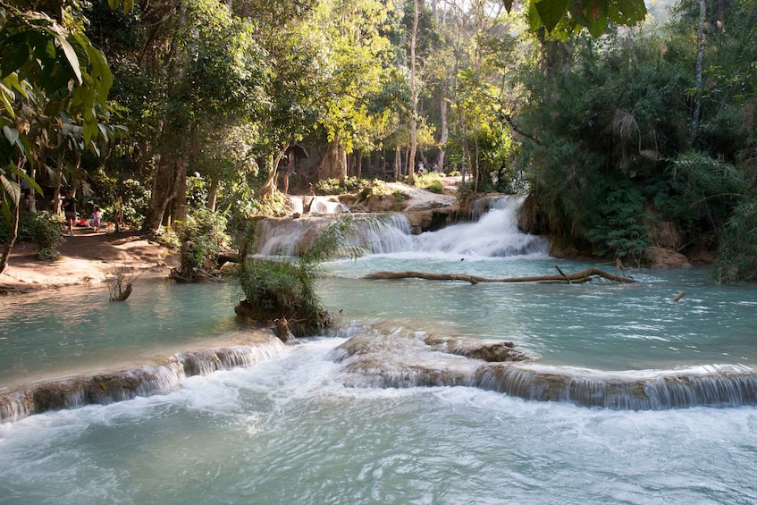 Picture 13 for Activity Luang Prabang: Cruise to Pak Ou Caves & Kuang Si Waterfalls