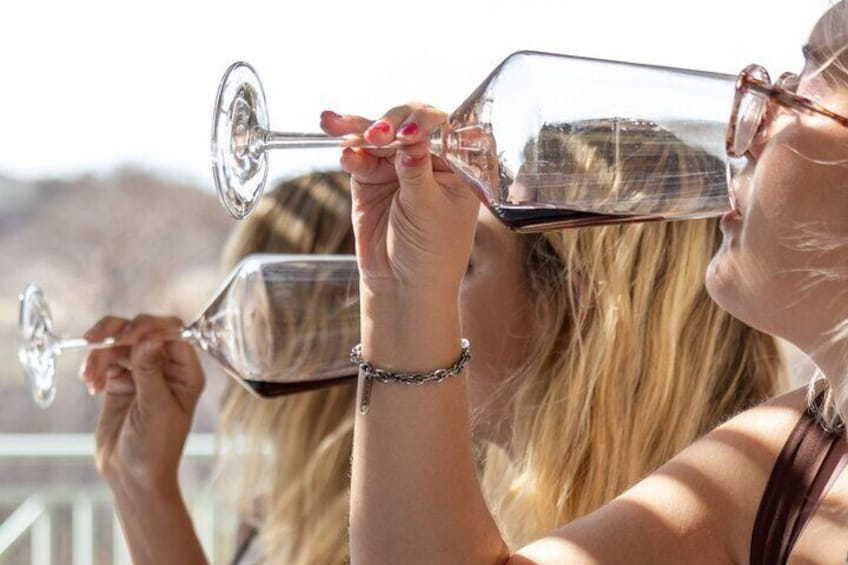 Wine tasting in Rhodes, inside the vineyards with the Producer