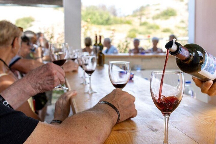 Wine tasting in Rhodes, inside the vineyards with the Producer