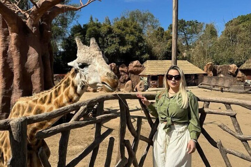 Private Tour to Cayala City and La Aurora Zoo