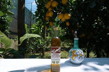 Tour por la granja con vistas impresionantes