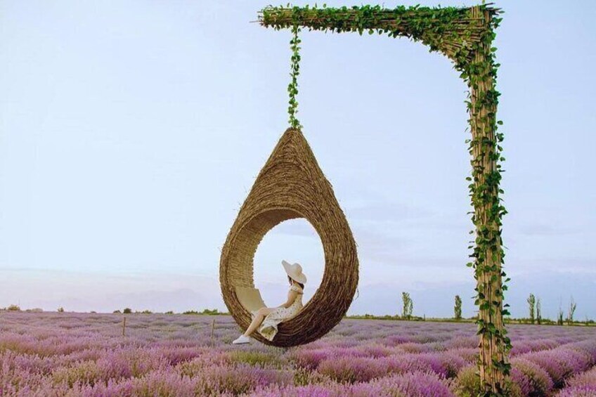 Gabala Lavender Fields Tour