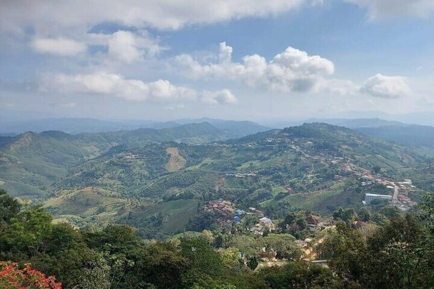 Chiang Rai Mountain Adventure: Doi Mae Salong & Doi Tung