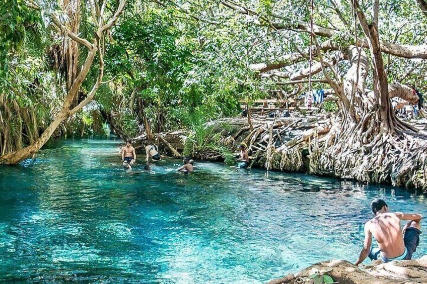 Jozani Forest & Rock Restaurant with Transfer – Zanzibar