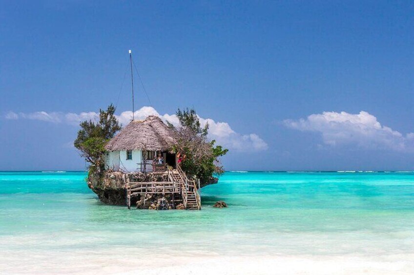Jozani Forest & Rock Restaurant with Transfer – Zanzibar