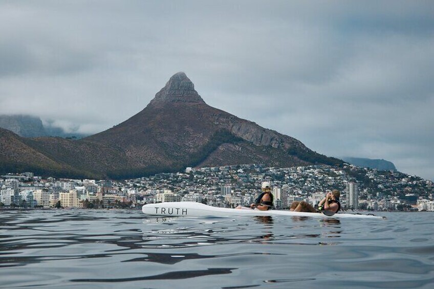 Dolphin And Ocean Wildlife Kayaking Adventure on Promenade