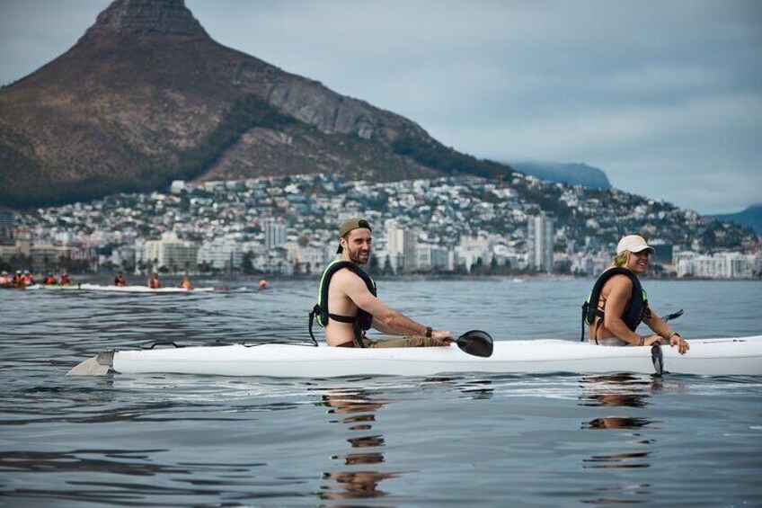 Dolphin And Ocean Wildlife Kayaking Adventure on Promenade