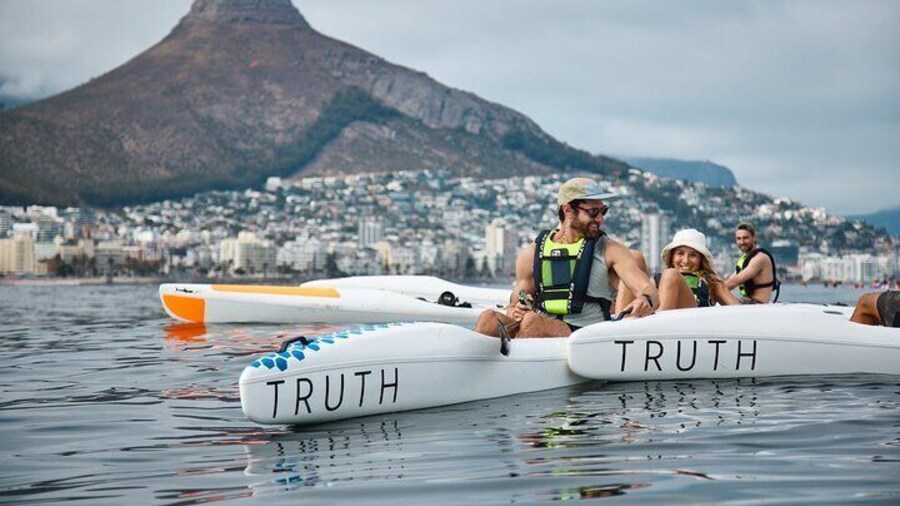 Dolphin And Ocean Wildlife Kayaking Adventure on Promenade