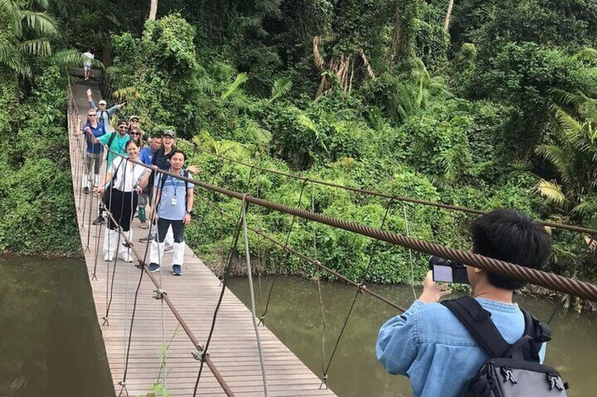 Khaoyai National Park Hiking and Haew Suwat Waterfall