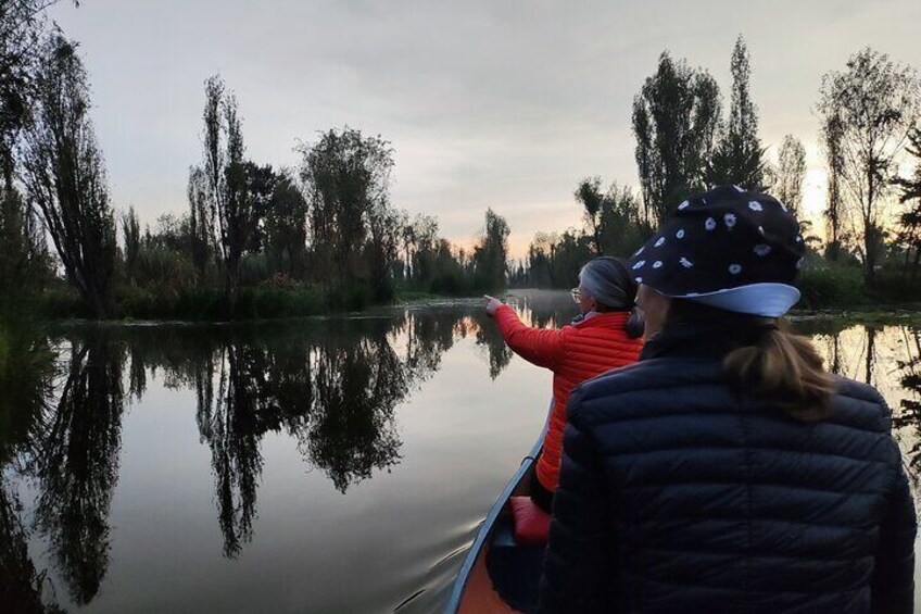 Xochimilco Ecotourism at Dawn in Canoe and Organic Breakfast