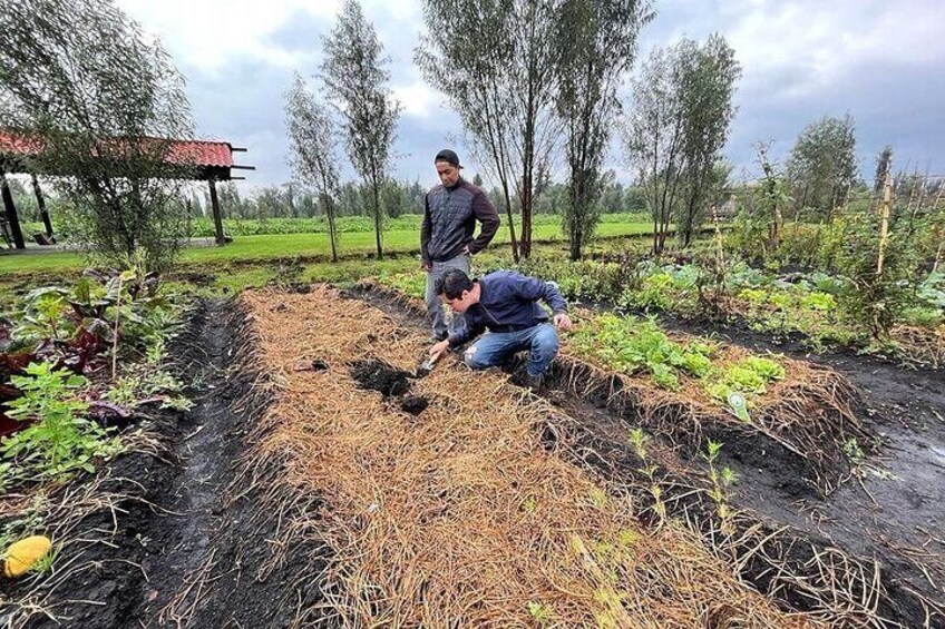 Xochimilco Ecotourism at Dawn in Canoe and Organic Breakfast 
