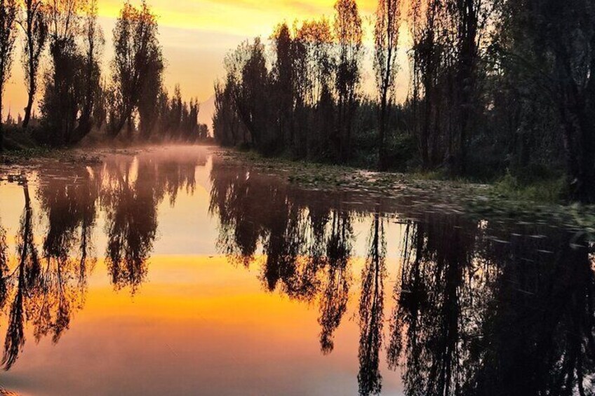 Xochimilco Ecotourism at Dawn in Canoe and Organic Breakfast 