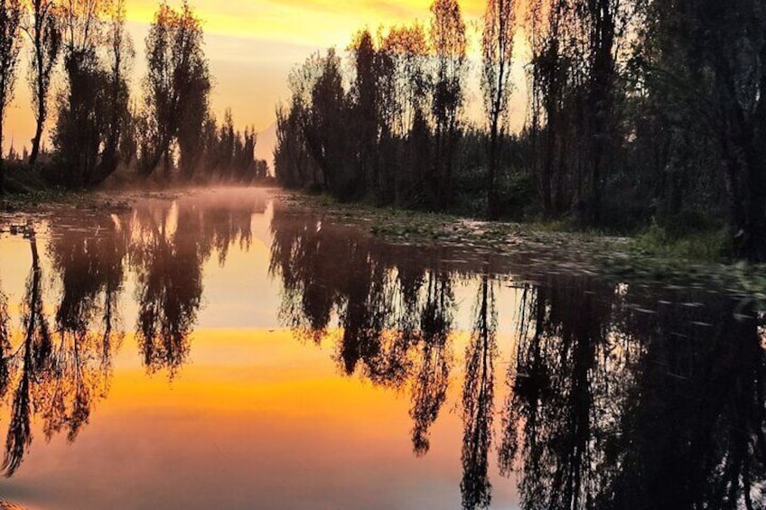 Xochimilco Ecotourism at Dawn in Canoe and Organic Breakfast