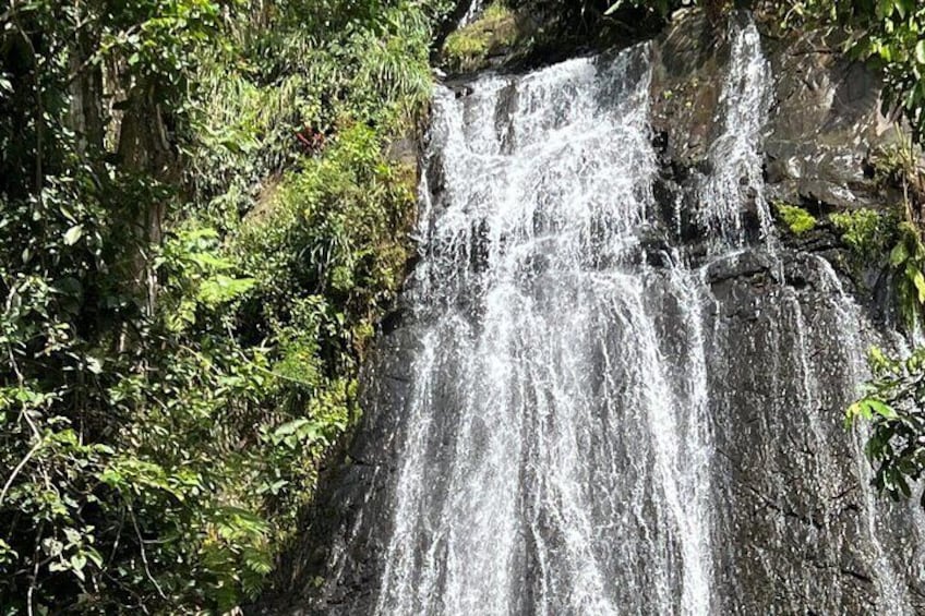 El Yunque Guided Experience!